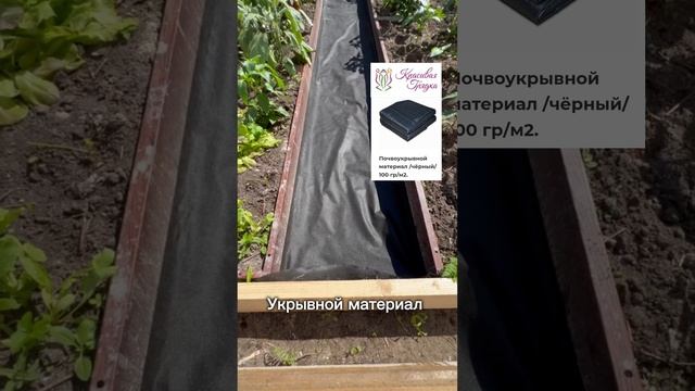 Черная пятница в Красивой грядке 🔥