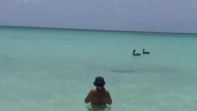 Playa Sirena Cayo Largo Del Sur Cuba