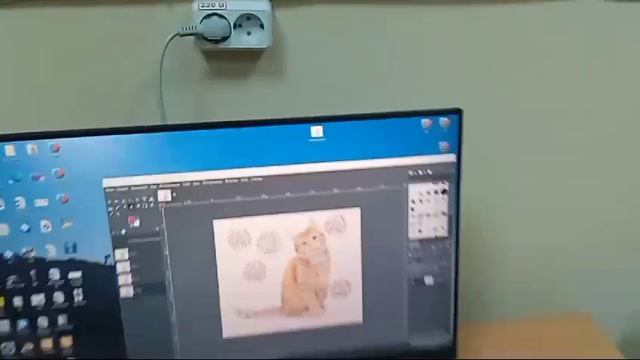 VID-20241026-WA0000.mp4