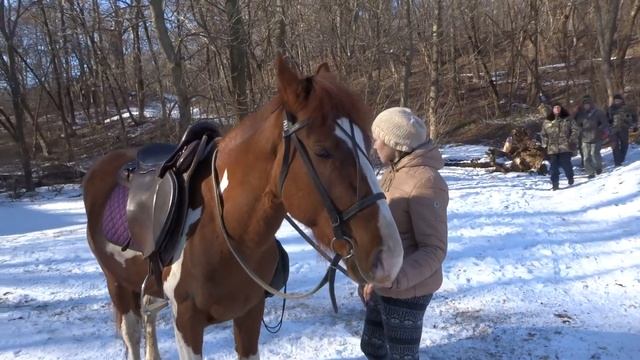07.02.2016 год. Ботанический сад ЮФУ превращается в Авгиевы (Давлидгильдеевы) конюшни.