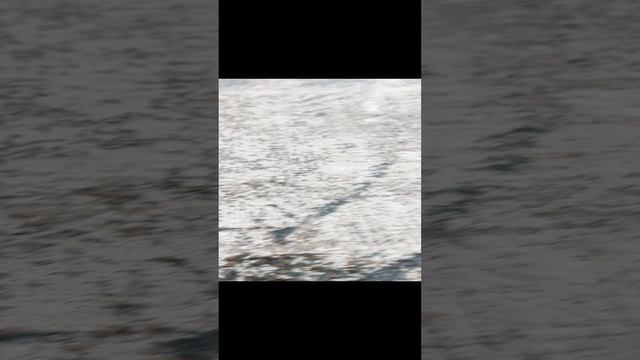 00071A_L.GREY HB-L.BLUE овал