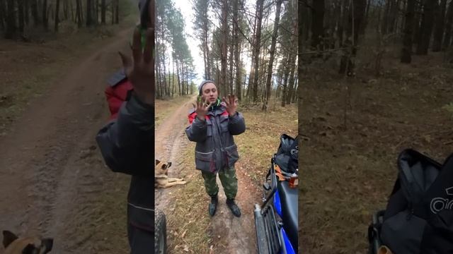 В поисках бункера