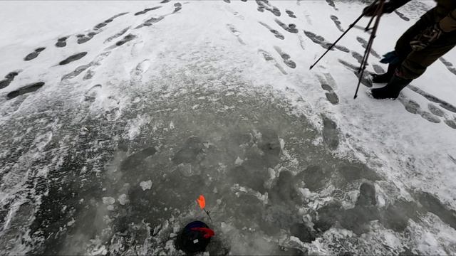 ОТКРЫТИЕ СЕЗОНА ПО ТВЕРДОЙ ВОДЕ