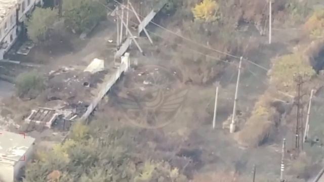 ⚡️Сводка Минобороны РФ 11.11.24
▫️Подразделениями группировки войск «Север» на Харьковском...🔽🔽🔽
