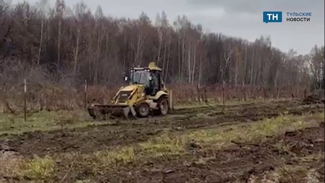 В поселке Петелино тульской области собираются сносить виноградник