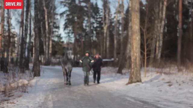 «Автомобиль года 2013» по версии Драйва — За кадром