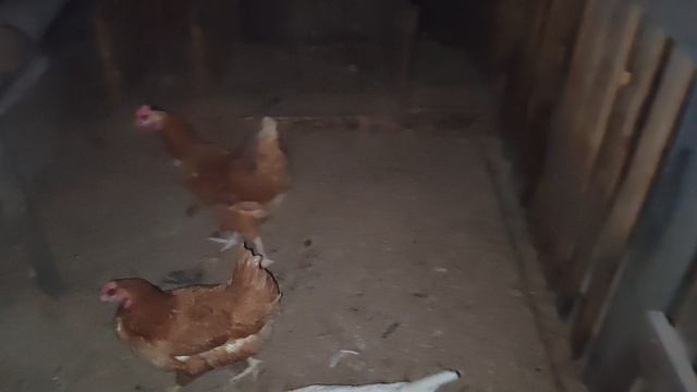 хорошо в деревне2