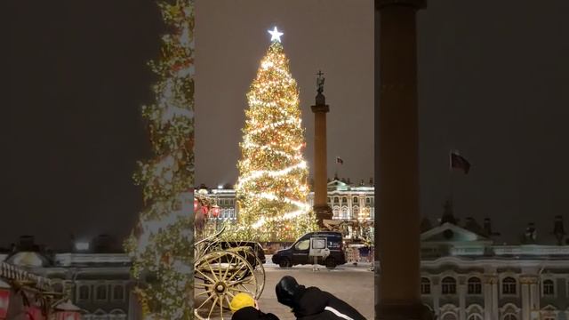 Дворцовая площадь/люди/ вечерний Петербург