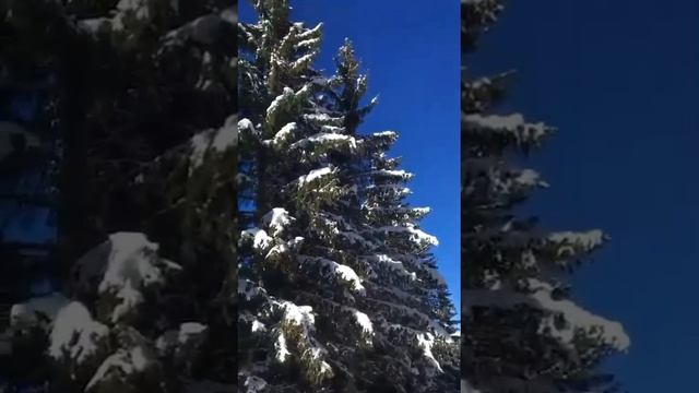 Очень красиво