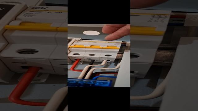 1000006444.mp4 (Собака смотрит на вариант электроснабжения дома)