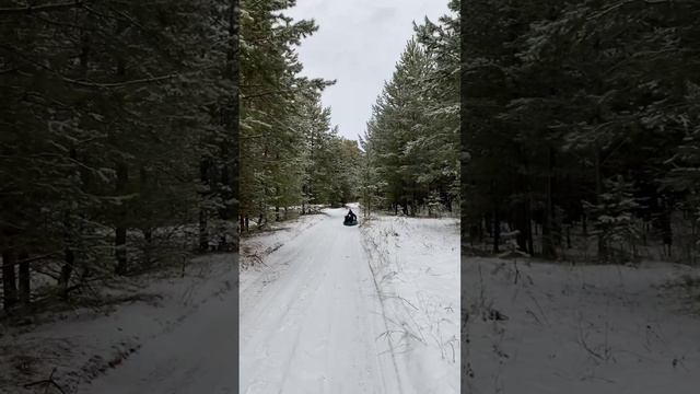 Выходной, гуляем по зимнему лесу.