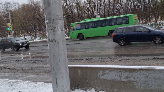 11.11.24. Доброе снежное утро❄️❄️❄️Камчатский реллакс☔️☔️☔️