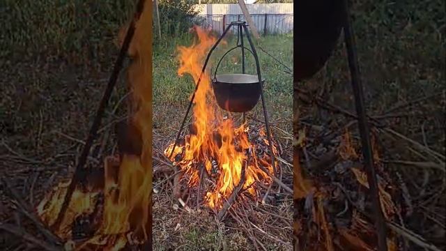 VID-20240807-WA0006.mp4