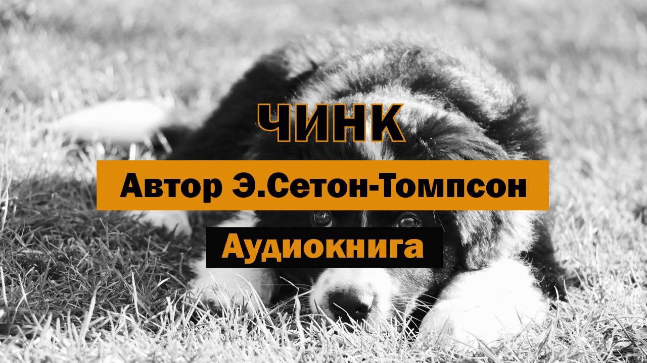 Чинк Э.Сетон-Томпсон Аудиокнига #аудиокнига #собака #щенок #детям #животные #бесплатно #слушать