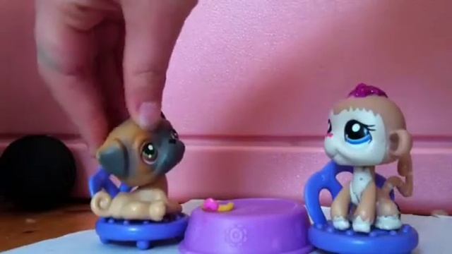 Lps suspects episode 1: Brenda's Story