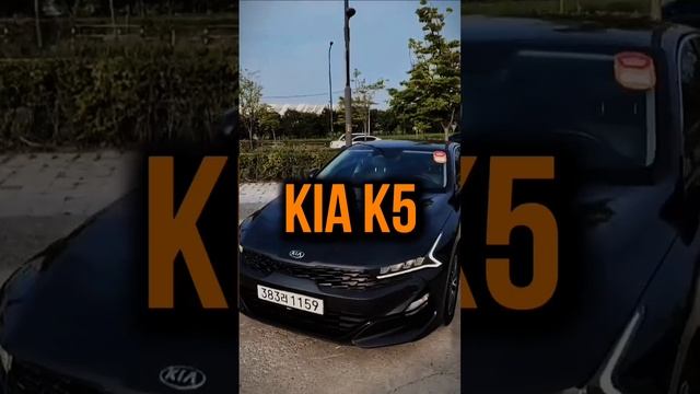 Подбор авто в южной Корее KIA K5 #shortsvideo #shots #автоподбор