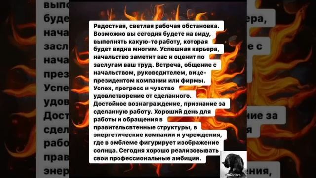 Карта дня на 11 ноября