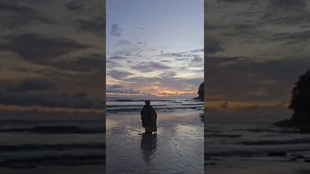 scene_output.mp4