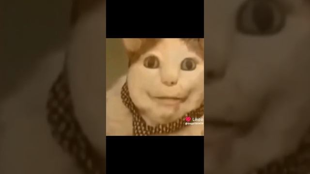 1000006790.mp4