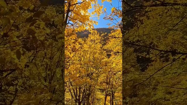 Осень в горах