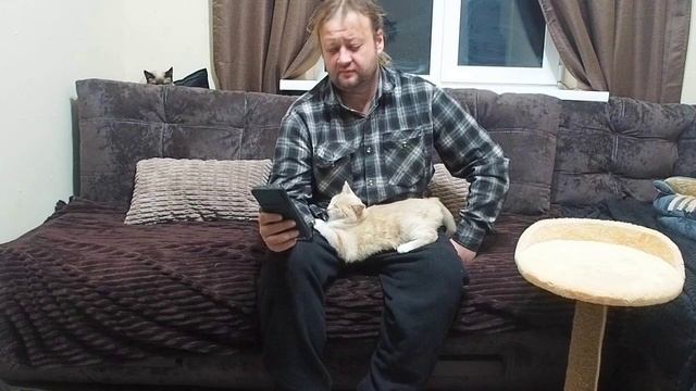 Читаю комментарии