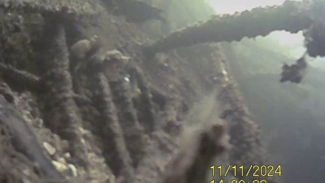 1000031850.mp4Волга гл.4м.11.10.2024г.