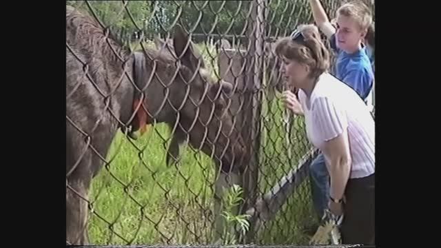 Экскурсия на Лосеферму, Костромская область