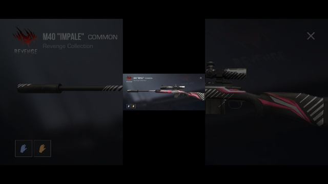 1000015157.mp4