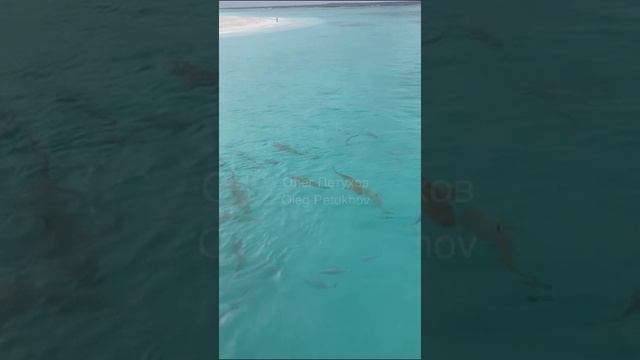 Мальдивы. Maldives. 马尔代夫。