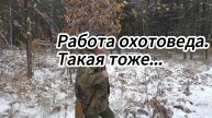 Работа охотоведа