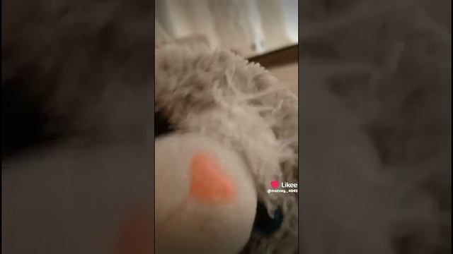 сериал про проклятого Хаги ваги 1 сезон 17 серия