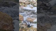 КАЗАНЬ ВОДОПАД ШУМ ВОДЫ АСМР