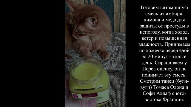11.11.2024 Витаминная смесь на осень. Процесс готовки и танец от Томаса и Софи.