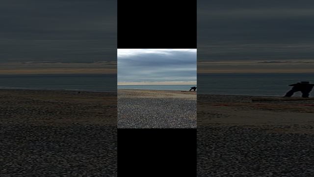 Евпатория.Новый пляж,рыбаки ловят кефаль,скоро будет рыбалка на камбалу и глосика.
