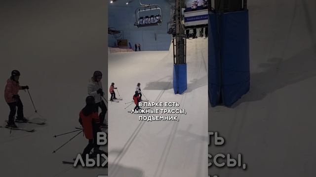 Кажется, в Дубае есть всё!