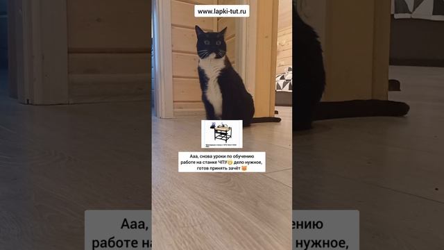учение - свет 😁