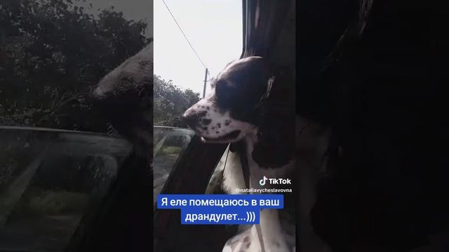 Я еле помещаюсь в ваш драндулет...)))