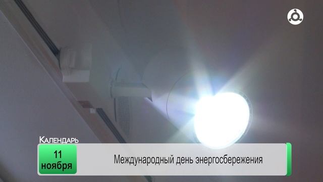 День календаря. 11.11.2024 г.