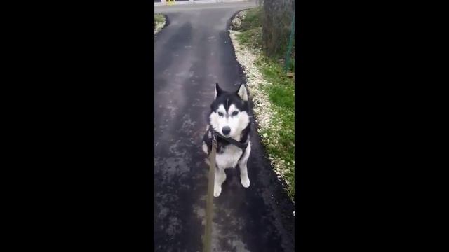 За пивом не пойдем. Хватит с тебя хозяин