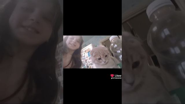 Like_7434465344069547677.mp4