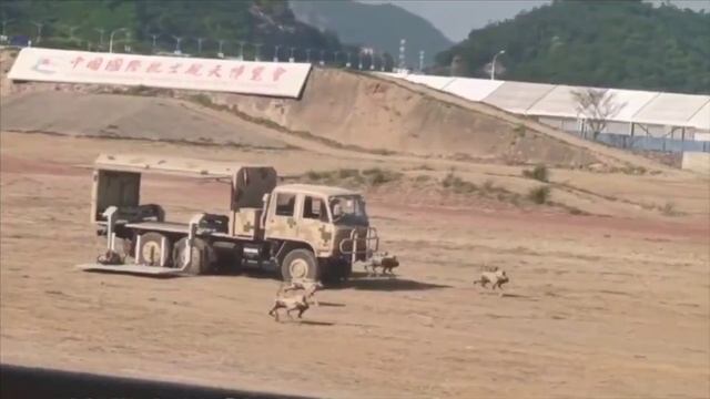 Китайская армия тестирует боевую высадку стаи робопсов.