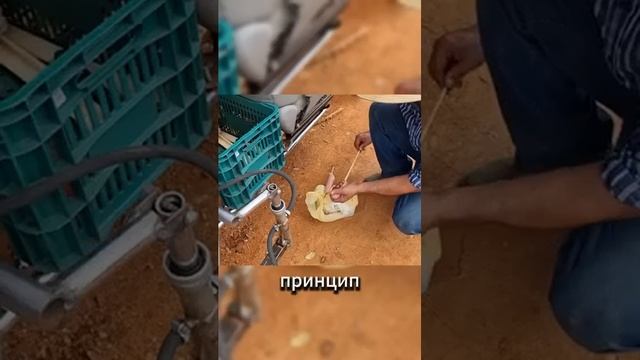 факты