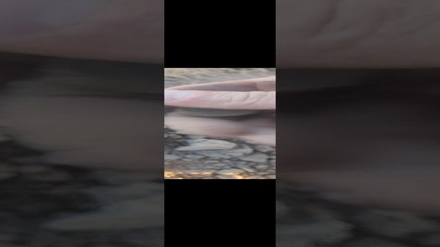 #сезонконтентаRUTUBE копаем монеточки.