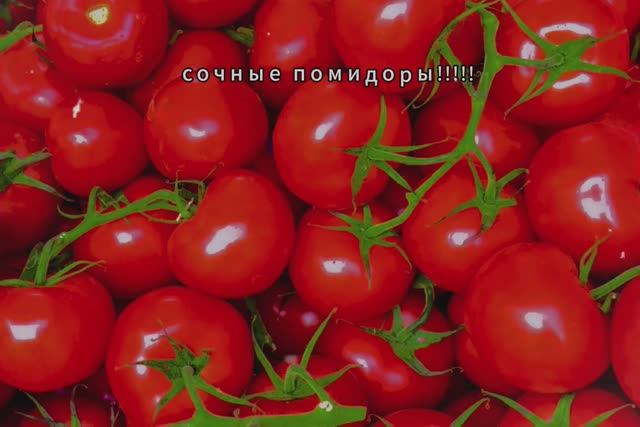 реклама помидоров