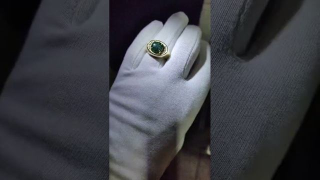 1000019804.mp4