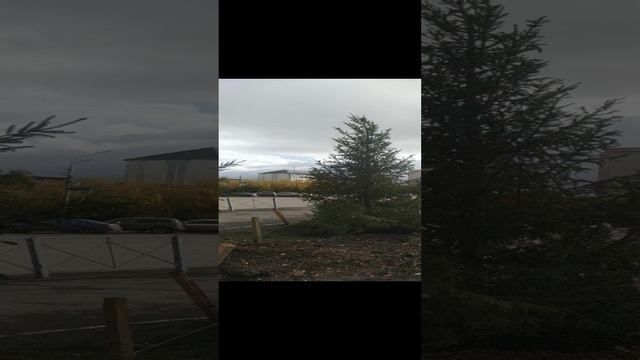 VID_20240919_121230.mp4 Елена Дружиненко Воркута