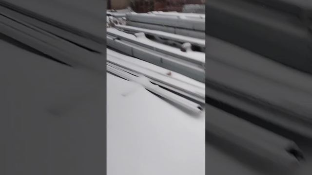 1000039163.mp4