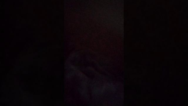 scene_output.mp4