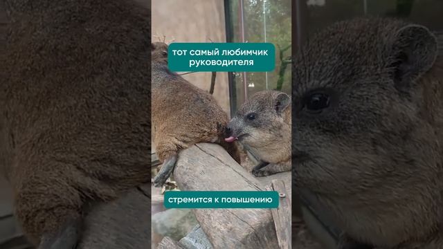 ты знаешь, кому это отправить 😂