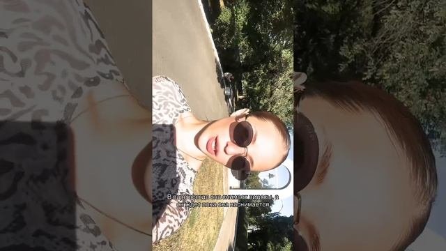1000016294.mp4